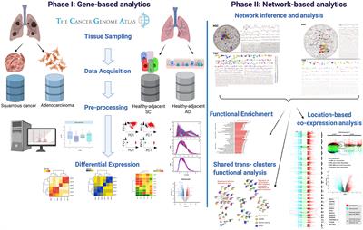 Loss of Long Distance Co-Expression in Lung Cancer